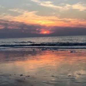 Meet your Posher, Yvette